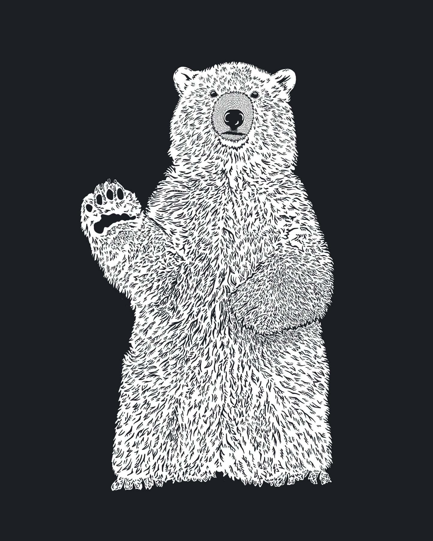Winter Series: Polar Bear