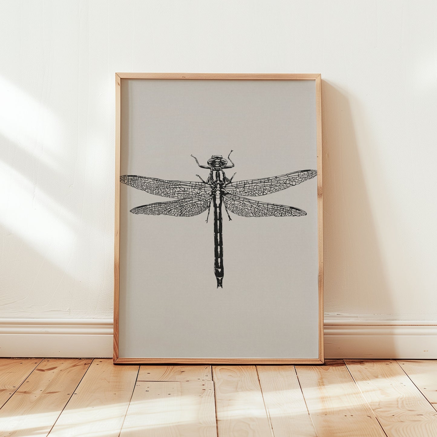 Insect Series: Dragon Fly