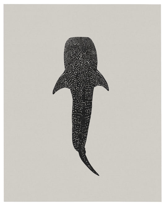 Ocean Series: Whale Shark
