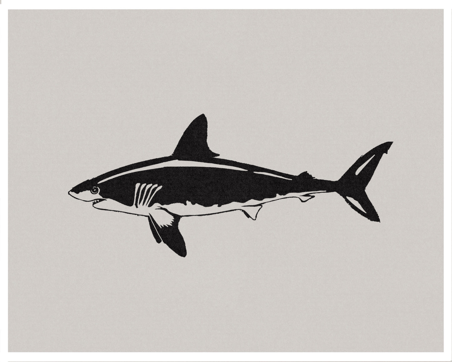 Ocean Series: Mako Shark
