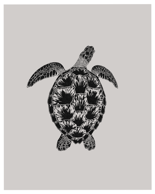Ocean Series: Sea Turtle