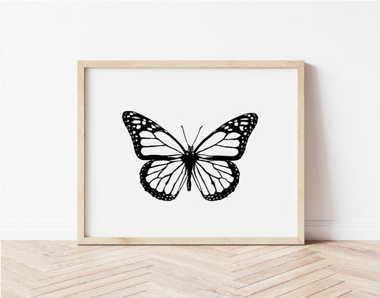 Insect Series: Butterfly