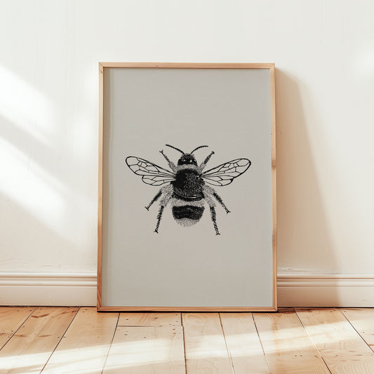 Insect Series: Honeybee